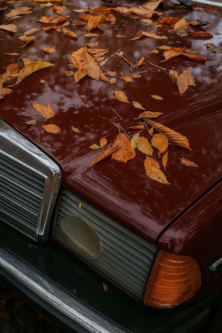 Quels bijoux porter avec un pull ? Nos idées pour l’automne