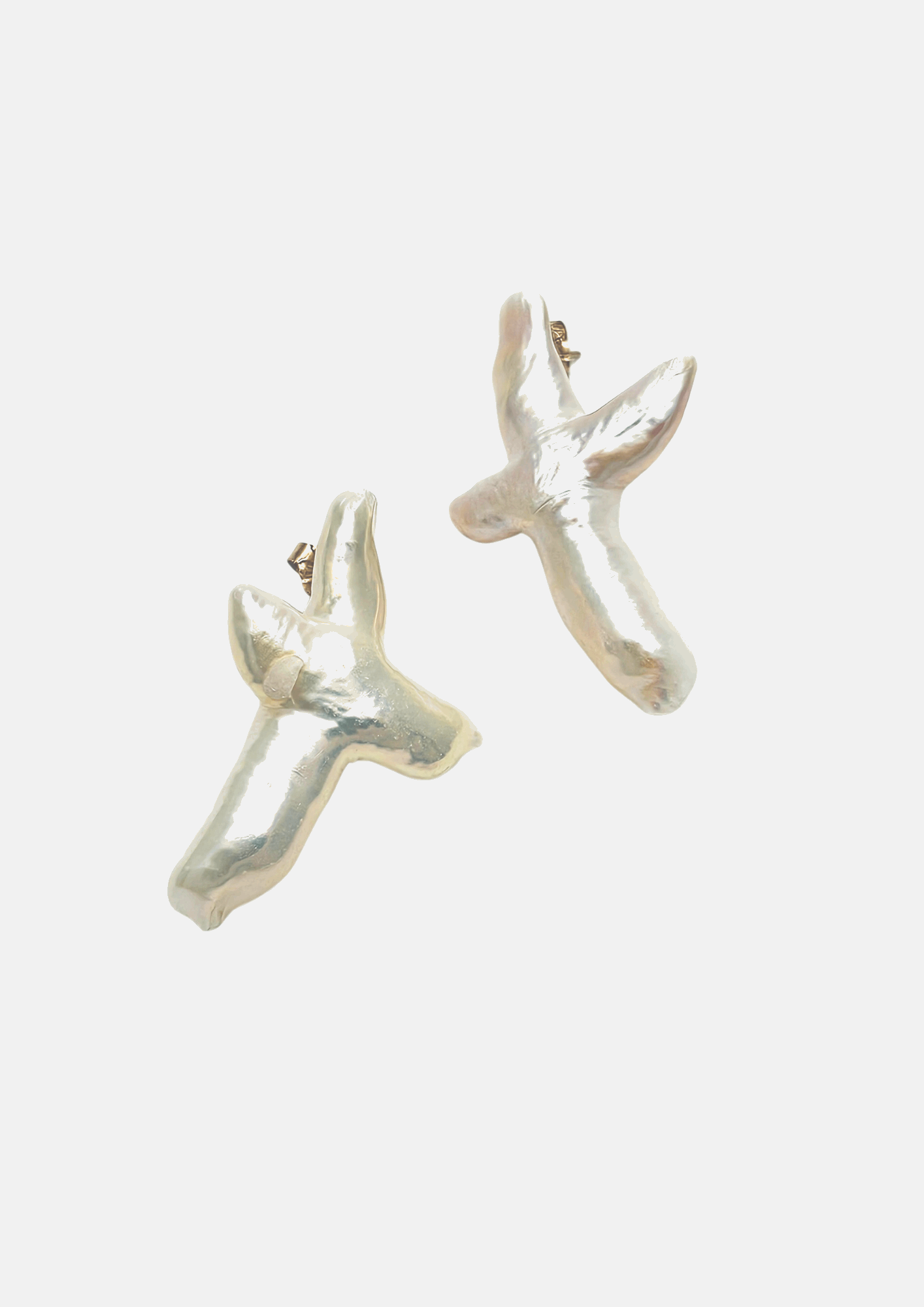 Maxi Puces Avril croix